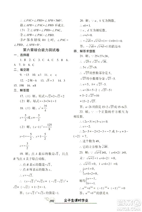 辽宁教育出版社2021尖子生课时作业七年级数学下册人教版答案