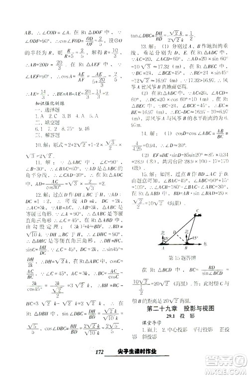 辽宁教育出版社2021尖子生课时作业九年级数学下册人教版答案