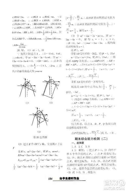 辽宁教育出版社2021尖子生课时作业九年级数学下册人教版答案
