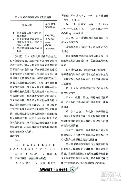 辽宁教育出版社2021尖子生课时作业九年级化学下册人教版答案