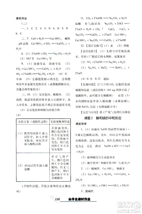 辽宁教育出版社2021尖子生课时作业九年级化学下册人教版答案