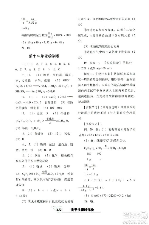 辽宁教育出版社2021尖子生课时作业九年级化学下册人教版答案
