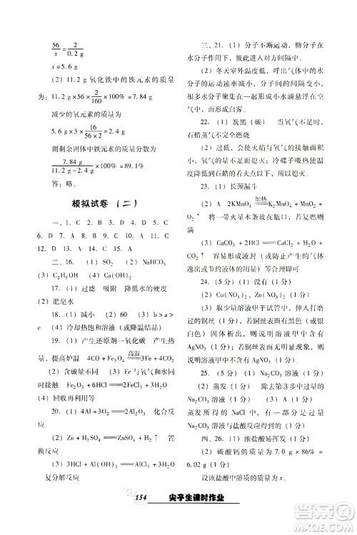 辽宁教育出版社2021尖子生课时作业九年级化学下册人教版答案