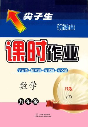 辽宁教育出版社2021尖子生课时作业九年级数学下册人教版答案
