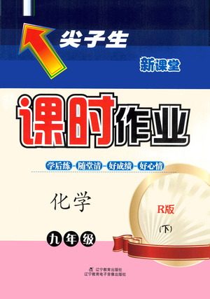 辽宁教育出版社2021尖子生课时作业九年级化学下册人教版答案