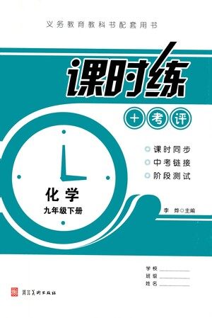 河北美术出版社2021课时练+考评九年级化学下册人教版答案 河北美术出版社2021课时练+考评九年级化学下册人教版答案