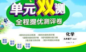 江苏人民出版社2021单元双测全程提优测评卷九年级下册化学沪教版参考答案