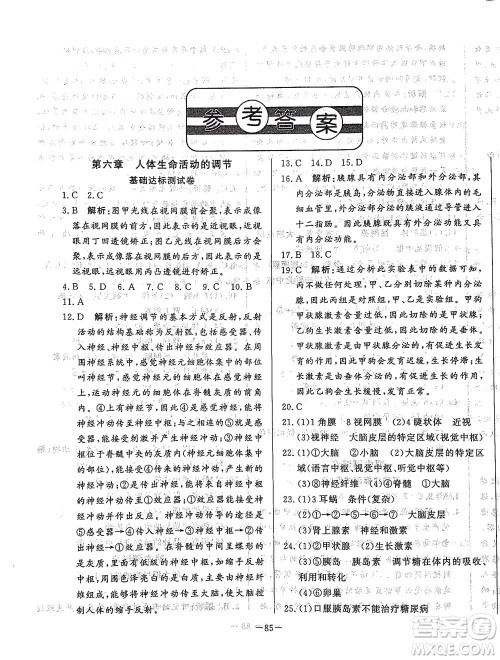 山东文艺出版社2021初中单元提优测试卷七年级生物下册鲁教版五四学制答案