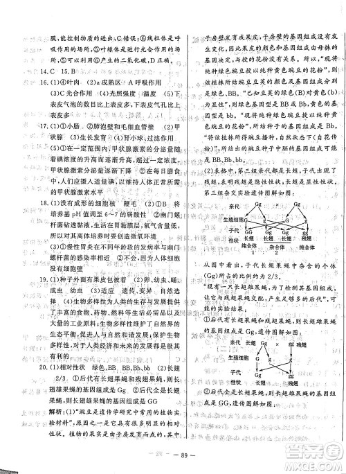 山东文艺出版社2021初中单元提优测试卷八年级生物下册鲁教版五四学制答案 山东文艺出版社2021初中单元提优测试卷八年级生物下册鲁教版五四学制答案