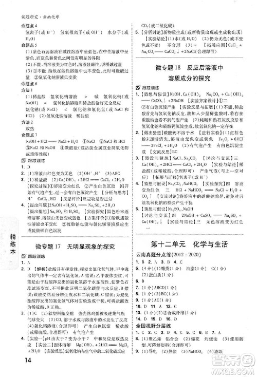 新疆青少年出版社2021万唯中考试题研究化学云南专版通用版参考答案