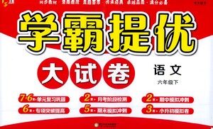 宁夏人民教育出版社2021经纶学典学霸提优大试卷六年级下册语文参考答案