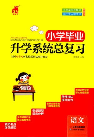 云南美术出版社2021小学毕业升学系统总复习语文答案