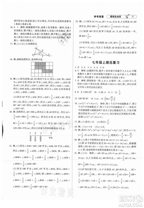 宁夏人民教育出版社2021经纶学典暑假总动员数学七年级RJ人教版答案