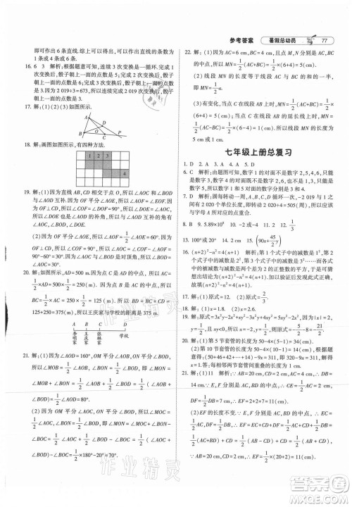 宁夏人民教育出版社2021经纶学典暑假总动员数学七年级RJ人教版答案