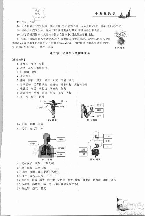 江苏人民出版社2021小学版暑假大串联科学小升初衔接教材教育科学教材适用答案