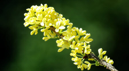 名字里的故事作文300字 关于名字里的故事的作文300字 名字里的故事作文300字 关于名字里的故事的作文300字