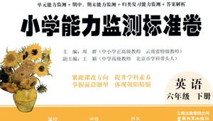 云南教育出版社2021小学能力监测标准卷六年级下册英语参考答案