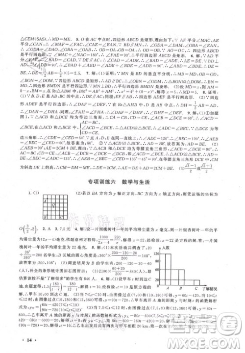 安徽人民出版社2021初中版暑假大串联数学八年级江苏科技教材适用答案 安徽人民出版社2021初中版暑假大串联数学八年级江苏科技教材适用答案