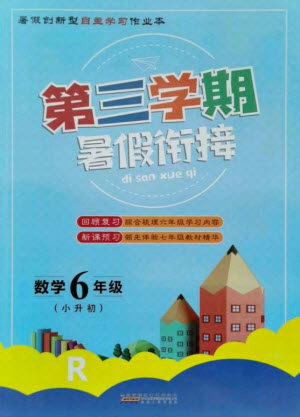 安徽人民出版社2021第三学期暑假衔接数学六年级小升初人教版答案