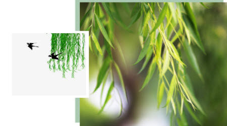 走进回忆作文600字 关于走进回忆的作文600字