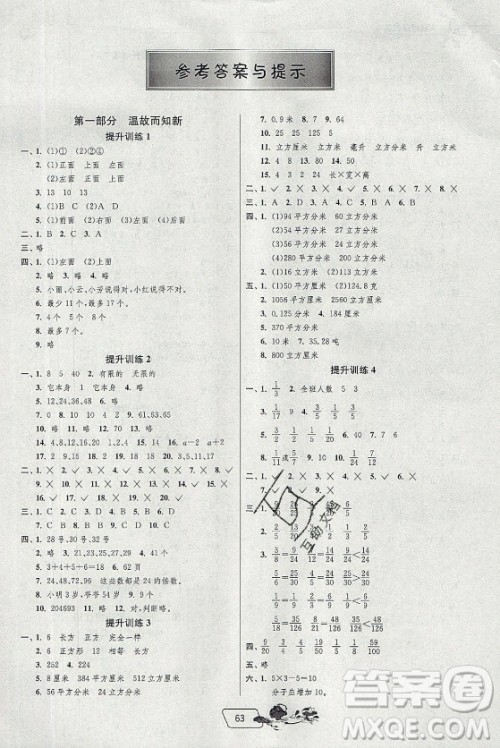 江苏人民出版社2021实验班提优训练暑假衔接数学五升六年级RMJY人民教育版答案