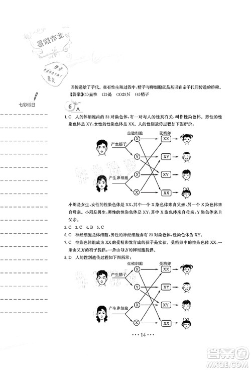安徽教育出版社2021暑假作业八年级生物人教版答案