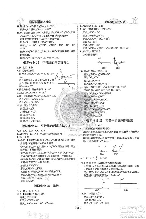 江西美术出版社2021魔力暑假A计划七年级数学XJ湘教版答案