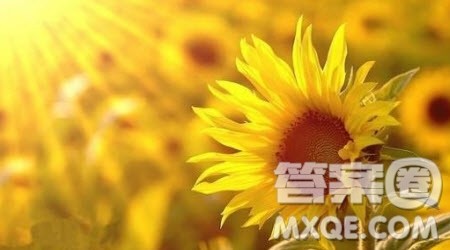 后疫情时代青年的责任与担当材料作文800字 关于后疫情时代青年的责任与担当的材料作文800字 后疫情时代青年的责任与担当材料作文800字 关于后疫情时代青年的责任与担当的材料作文800字