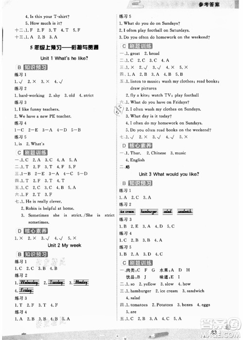 宁波出版社2021名师派暑假衔接4升5年级英语答案
