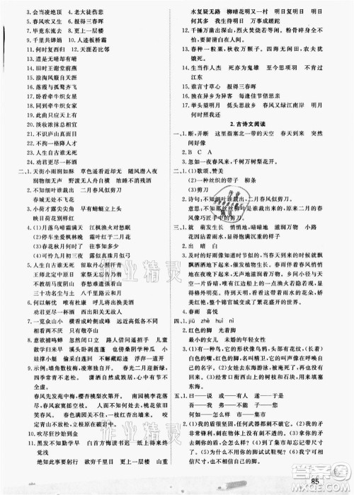 宁波出版社2021名师派暑假衔接小升初语文答案 宁波出版社2021名师派暑假衔接小升初语文答案