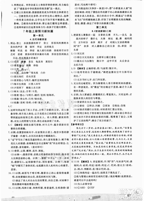 宁波出版社2021名师派暑假衔接小升初语文答案