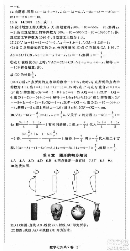 浙江工商大学出版社2021暑假衔接培优教材七升八数学浙教版参考答案