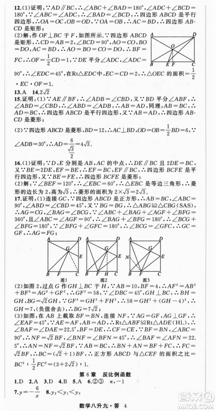 浙江工商大学出版社2021暑假衔接培优教材八升九数学浙教版参考答案