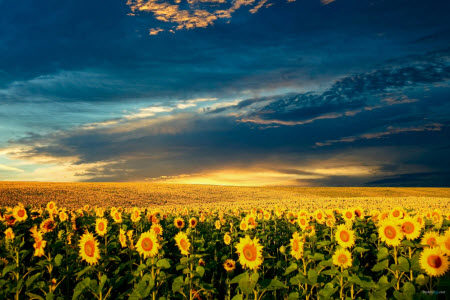 有那样一抹色彩为题作文600字 关于有那样一抹色彩的作文600字