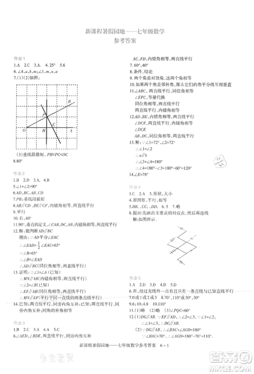 新疆科学技术出版社2021新课程暑假园地七年级数学参考答案