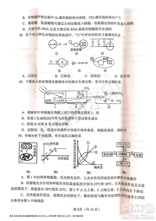 河南省郑州外国语学校2021-2022学年高三开学摸底测试生物试题及答案 河南省郑州外国语学校2021-2022学年高三开学摸底测试生物试题及答案