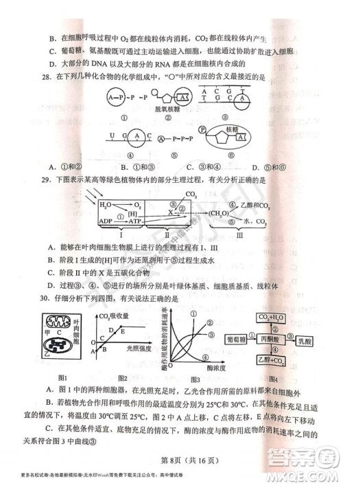 河南省郑州外国语学校2021-2022学年高三开学摸底测试生物试题及答案