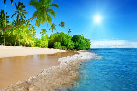 触摸夏天为话题作文600字 关于触摸夏天的作文600字