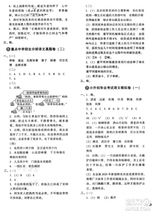 江苏凤凰少年儿童出版社2021小升初名师帮你总复习语文答案 江苏凤凰少年儿童出版社2021小升初名师帮你总复习语文答案