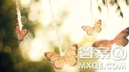 科学与审美材料作文800字 关于科学与审美的材料作文800字