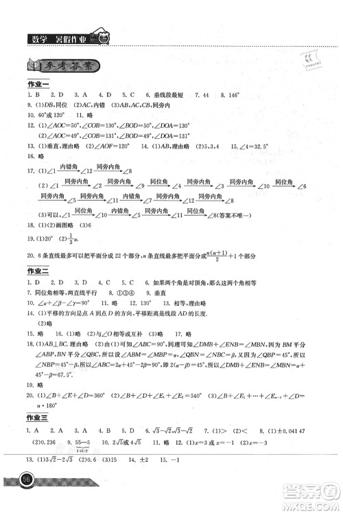 湖北教育出版社2021长江作业本暑假作业七年级数学通用版答案