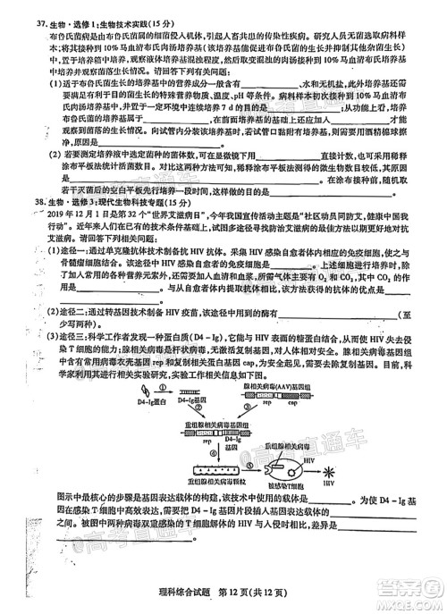 河南信阳市实验高级中学2021-2022学年高三毕业班开学摸底测试理科综合试题及答案