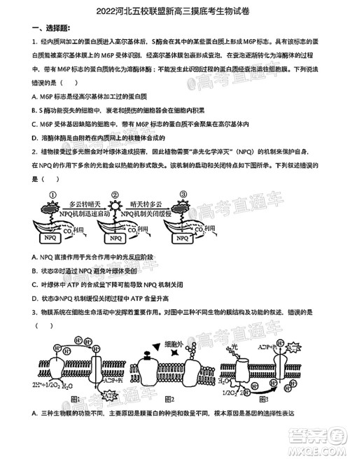 河北五校联盟2022届新高三摸底考试生物试题及答案