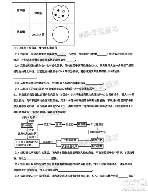 河北五校联盟2022届新高三摸底考试生物试题及答案