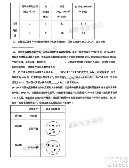 河北五校联盟2022届新高三摸底考试生物试题及答案