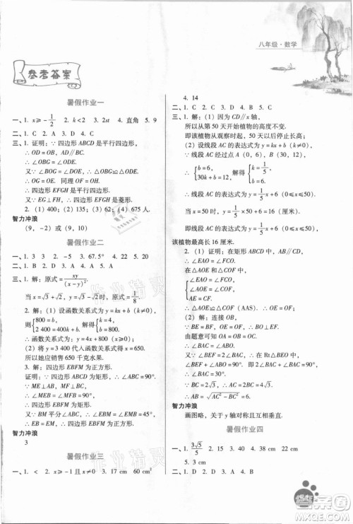 河北人民出版社2021暑假生活数学八年级通用版答案