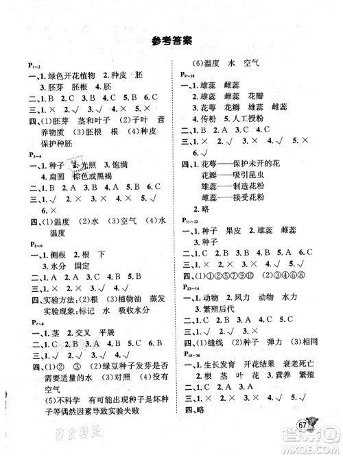 河北少年儿童出版社2021桂壮红皮书暑假天地四年级科学教科版答案