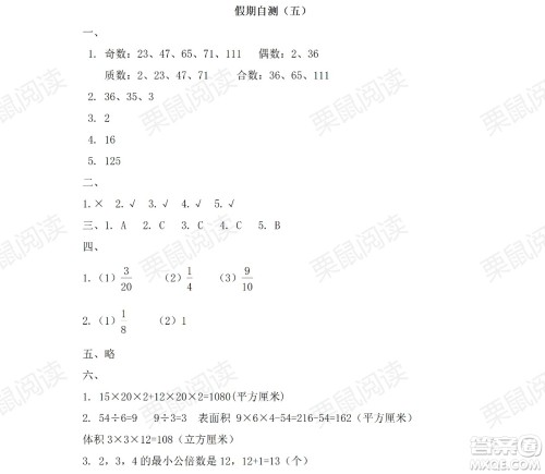 黑龙江少年儿童出版社2021阳光假日暑假五年级数学人教版答案