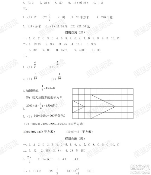 黑龙江少年儿童出版社2021阳光假日暑假六年级数学人教版答案