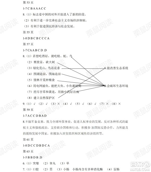 黑龙江少年儿童出版社2021暑假Happy假日五四学制六年级综合七台河专用答案 黑龙江少年儿童出版社2021暑假Happy假日五四学制六年级综合七台河专用答案